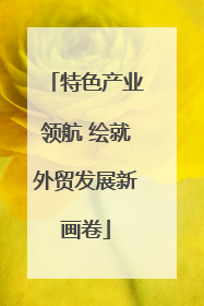 特色产业领航 绘就外贸发展新画卷
