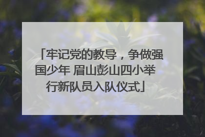 牢记党的教导，争做强国少年 眉山彭山四小举行新队员入队仪式