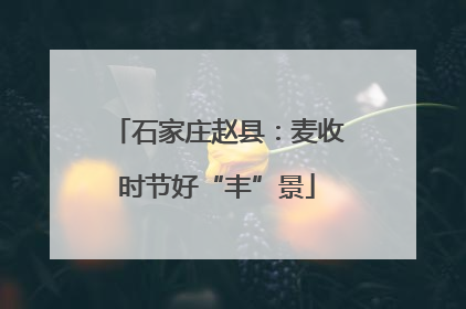 石家庄赵县：麦收时节好“丰”景