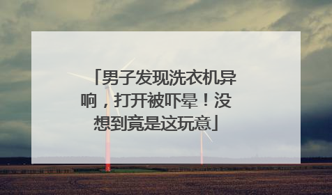 男子发现洗衣机异响，打开被吓晕！没想到竟是这玩意