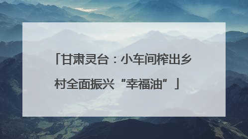 甘肃灵台：小车间榨出乡村全面振兴“幸福油”