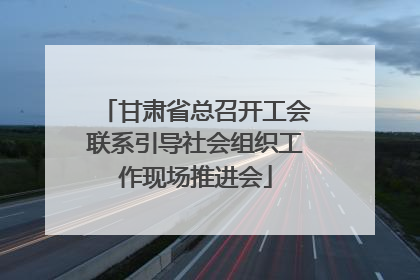 甘肃省总召开工会联系引导社会组织工作现场推进会