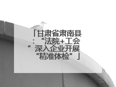甘肃省肃南县：“法院+工会”深入企业开展“精准体检”