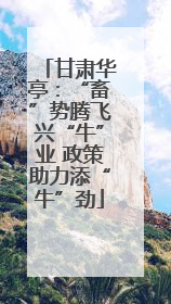 甘肃华亭：“畜”势腾飞兴“牛”业 政策助力添“牛”劲