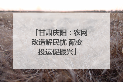 甘肃庆阳：农网改造解民忧 配变投运促振兴