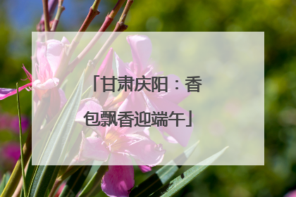 甘肃庆阳：香包飘香迎端午