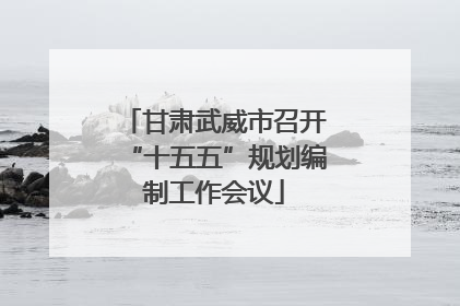甘肃武威市召开“十五五”规划编制工作会议