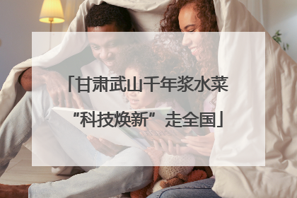 甘肃武山千年浆水菜“科技焕新”走全国