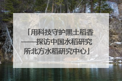 用科技守护黑土稻香——探访中国水稻研究所北方水稻研究中心