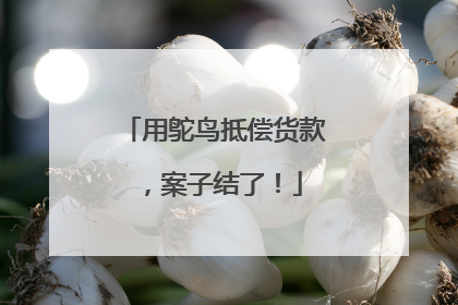 用鸵鸟抵偿货款，案子结了！