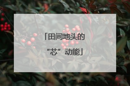 田间地头的“芯”动能