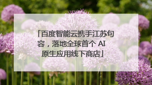 百度智能云携手江苏句容，落地全球首个 AI 原生应用线下商店