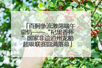 百舸争流激荡端午豪情——“杞里香杯”国家非遗道州龙船超级联赛圆满落幕
