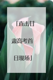 直击甘肃高考首日现场