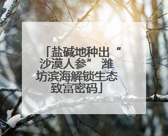 盐碱地种出“沙漠人参” 潍坊滨海解锁生态致富密码
