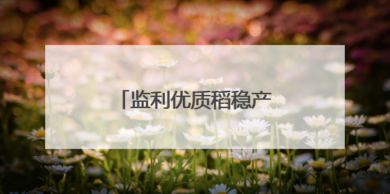 监利优质稻稳产提质 打造“江汉大米”核心产区