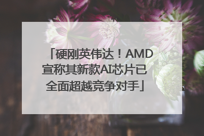 硬刚英伟达！AMD宣称其新款AI芯片已全面超越竞争对手