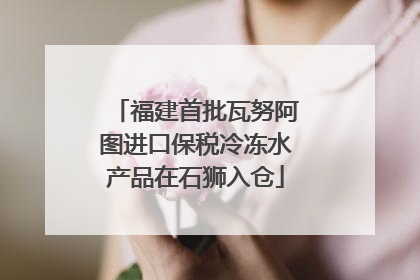 福建首批瓦努阿图进口保税冷冻水产品在石狮入仓