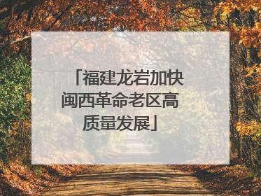 福建龙岩加快闽西革命老区高质量发展