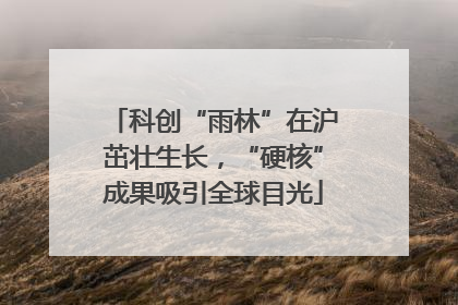 科创“雨林”在沪茁壮生长，“硬核”成果吸引全球目光