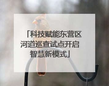科技赋能东营区河道巡查试点开启智慧新模式