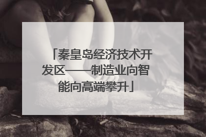 秦皇岛经济技术开发区——制造业向智能向高端攀升
