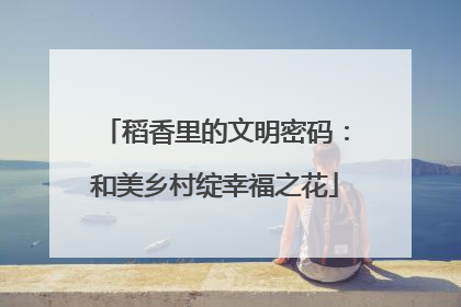 稻香里的文明密码：和美乡村绽幸福之花
