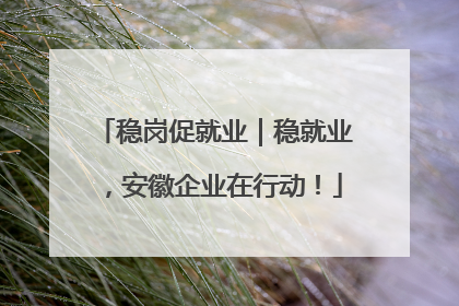 稳岗促就业｜稳就业，安徽企业在行动！