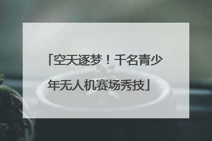 空天逐梦！千名青少年无人机赛场秀技
