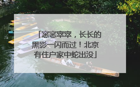 窸窸窣窣，长长的黑影一闪而过！北京有住户家中蛇出没