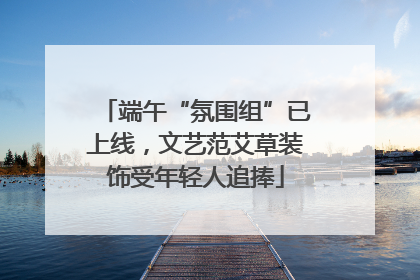 端午“氛围组”已上线，文艺范艾草装饰受年轻人追捧