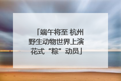 端午将至 杭州野生动物世界上演花式“粽”动员