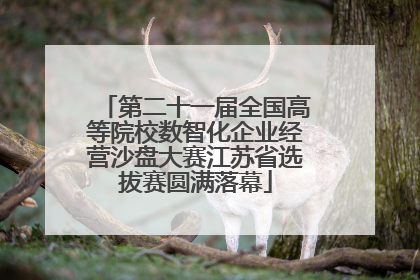 第二十一届全国高等院校数智化企业经营沙盘大赛江苏省选拔赛圆满落幕