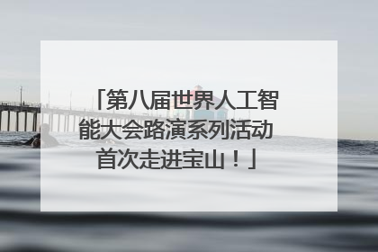 第八届世界人工智能大会路演系列活动首次走进宝山！