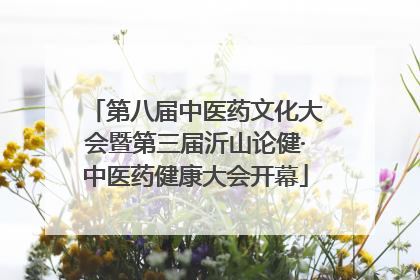 第八届中医药文化大会暨第三届沂山论健·中医药健康大会开幕