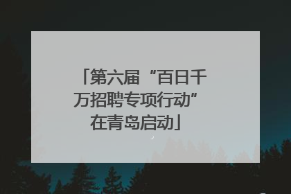 第六届“百日千万招聘专项行动”在青岛启动