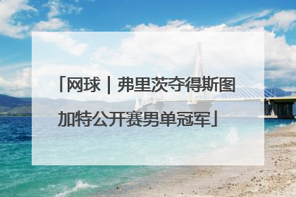 网球｜弗里茨夺得斯图加特公开赛男单冠军