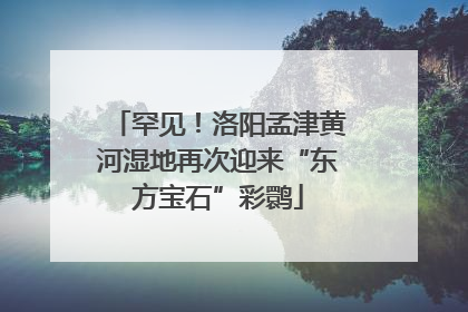 罕见！洛阳孟津黄河湿地再次迎来“东方宝石”彩鹮