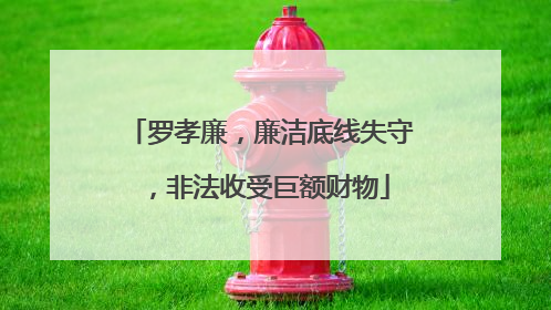 罗孝廉，廉洁底线失守，非法收受巨额财物