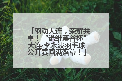 羽动大连，荣耀共享！“诺维溪谷杯”大连·李永波羽毛球公开赛圆满落幕！