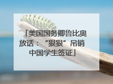 美国国务卿鲁比奥放话：“狠狠”吊销中国学生签证