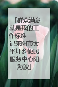 群众满意就是我的工作标准——记耒阳市太平圩乡便民服务中心阳海波