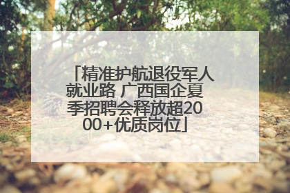 精准护航退役军人就业路 广西国企夏季招聘会释放超2000+优质岗位