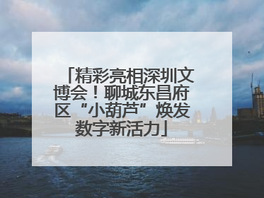 精彩亮相深圳文博会！聊城东昌府区“小葫芦”焕发数字新活力