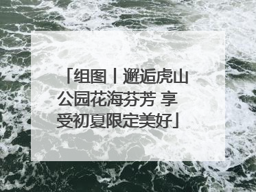 组图丨邂逅虎山公园花海芬芳 享受初夏限定美好