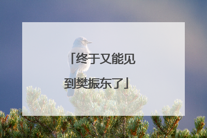 终于又能见到樊振东了