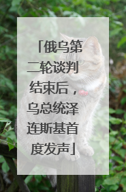 俄乌第二轮谈判结束后，乌总统泽连斯基首度发声