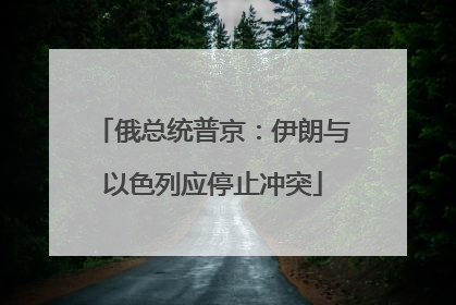 俄总统普京：伊朗与以色列应停止冲突