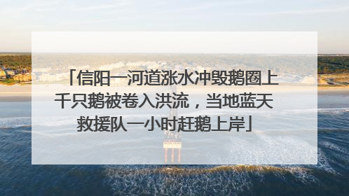 信阳一河道涨水冲毁鹅圈上千只鹅被卷入洪流，当地蓝天救援队一小时赶鹅上岸