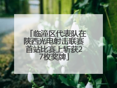 临潼区代表队在陕西光电射击联赛首站比赛上斩获27枚奖牌